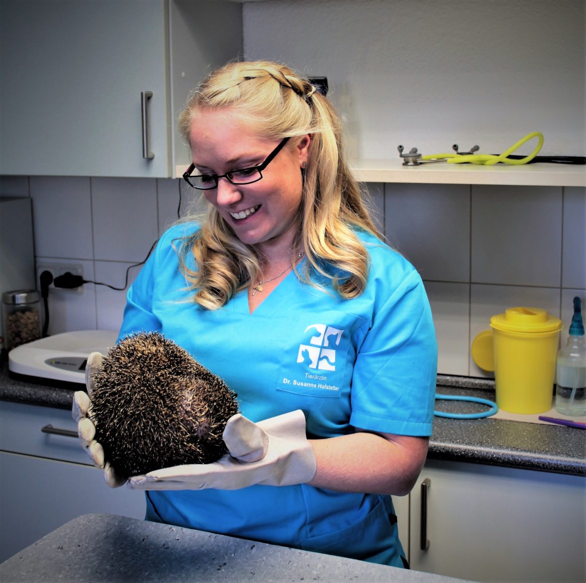 Igel Wildtier Susanne Hofstetter Tierarzt Illingen Saarland 2 Igel Wildtier Susanne Hofstetter Tierarzt Illingen Saarland 2